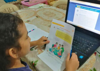 Clases a distancia hasta julio y asistencia voluntaria: SEP