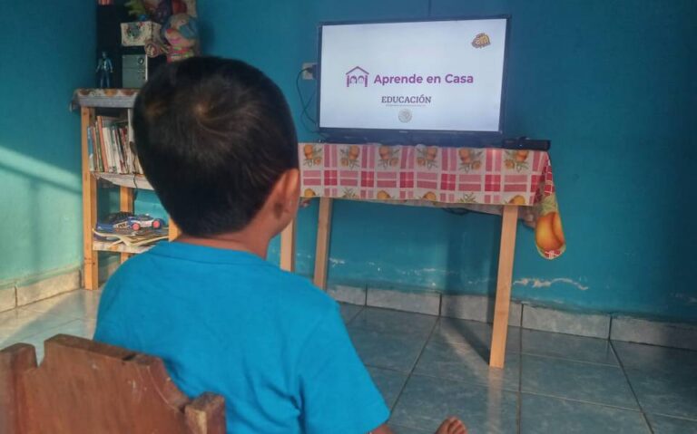 Dificultades del aprendizaje a distancia
