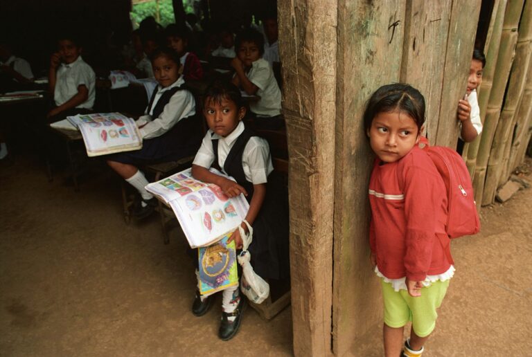 Dos tercios de los niños en edad escolar del mundo no tienen acceso a internet en casa: Unicef