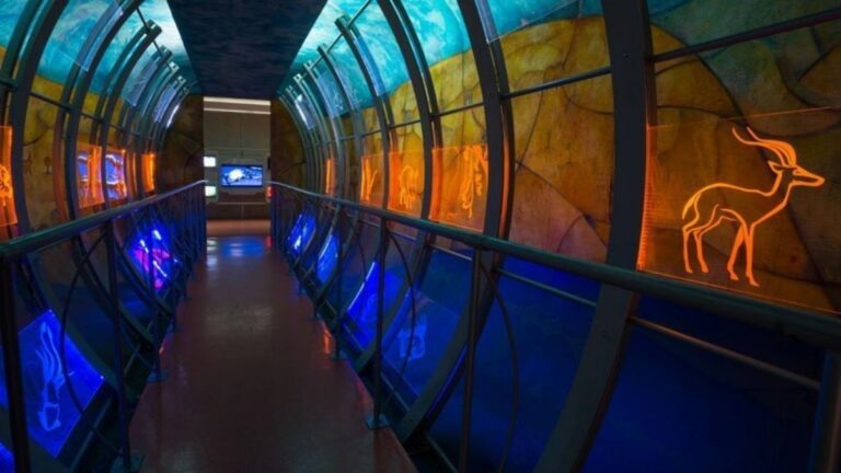 Conoce-todo-sobre-el-Museo-UNIVERSUM-en-CDMX