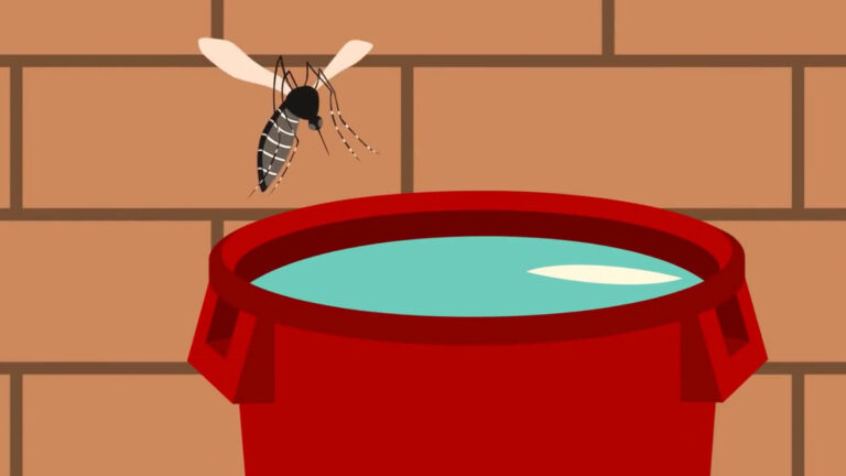 minsa-juntos-contra-el-dengue-chikungunya-y-zika-421109mp4_421110