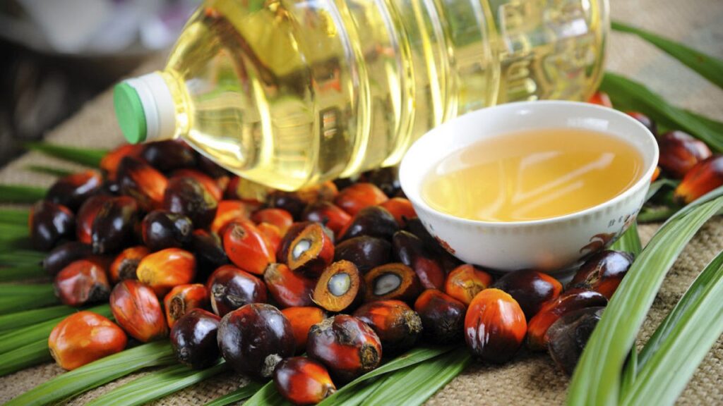 img_aceite-palma-salud-hd-1280x720