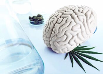 27/07/2018 Drogas y cerebro, cannabis.

El consumo de sustancias psicoactivas, moléculas situadas en fronteras difusas entre las drogas de abuso y los neurofármacos, es inherente a la Historia de la Humanidad. Estas sustancias, que se han ido encontrando sucesivamente en las plantas, los hongos y en la química de síntesis, son capaces de alterar nuestra percepción, nuestro estado de ánimo, así como nuestra conciencia y nuestro comportamiento.

ESPAÑA EUROPA MADRID SALUD
GETTY IMAGES/ISTOCKPHOTO / NASTASIC