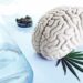27/07/2018 Drogas y cerebro, cannabis.

El consumo de sustancias psicoactivas, moléculas situadas en fronteras difusas entre las drogas de abuso y los neurofármacos, es inherente a la Historia de la Humanidad. Estas sustancias, que se han ido encontrando sucesivamente en las plantas, los hongos y en la química de síntesis, son capaces de alterar nuestra percepción, nuestro estado de ánimo, así como nuestra conciencia y nuestro comportamiento.

ESPAÑA EUROPA MADRID SALUD
GETTY IMAGES/ISTOCKPHOTO / NASTASIC