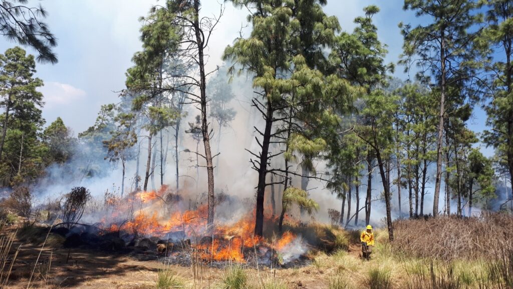 incendios