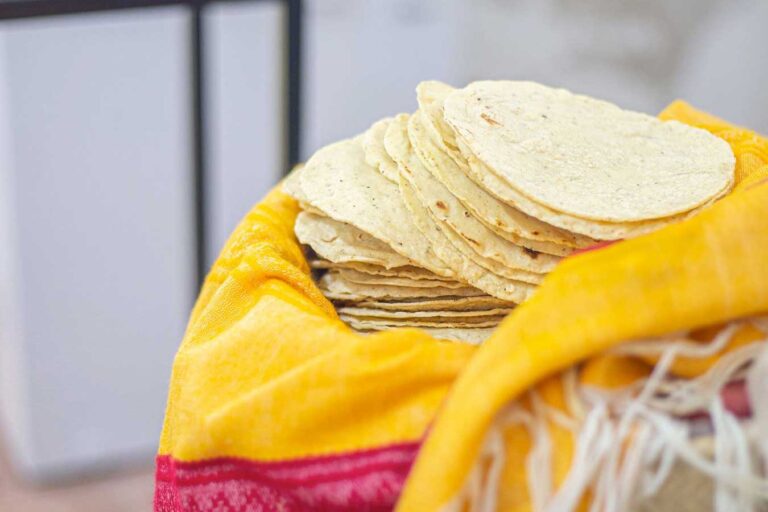maiz tortilla