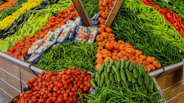 exportación-de-productos-agrícolas