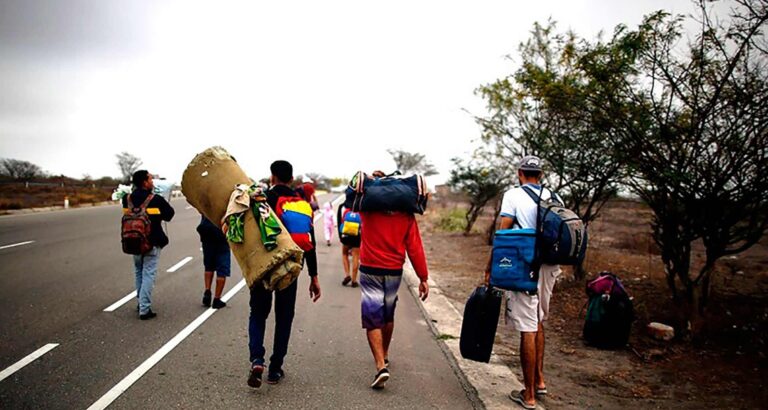 migracion