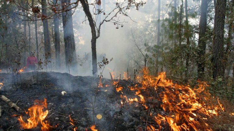 incendio_forestal