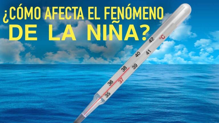 la niña