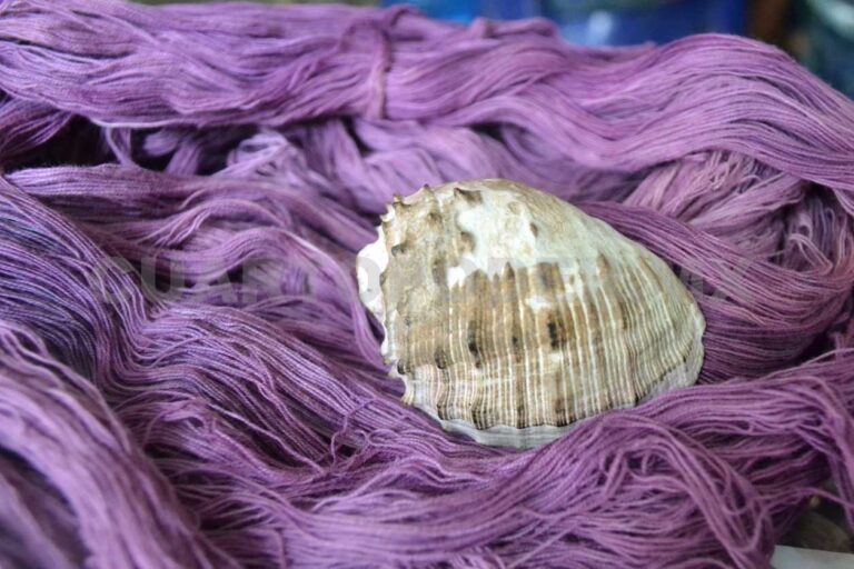 caracol