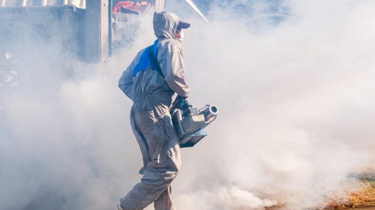 Trabajador con equipo especializado fumiga escuelas en Chetumal para prevenir dengue, zika y chikungunya antes del regreso a clases de 30 mil estudiantes