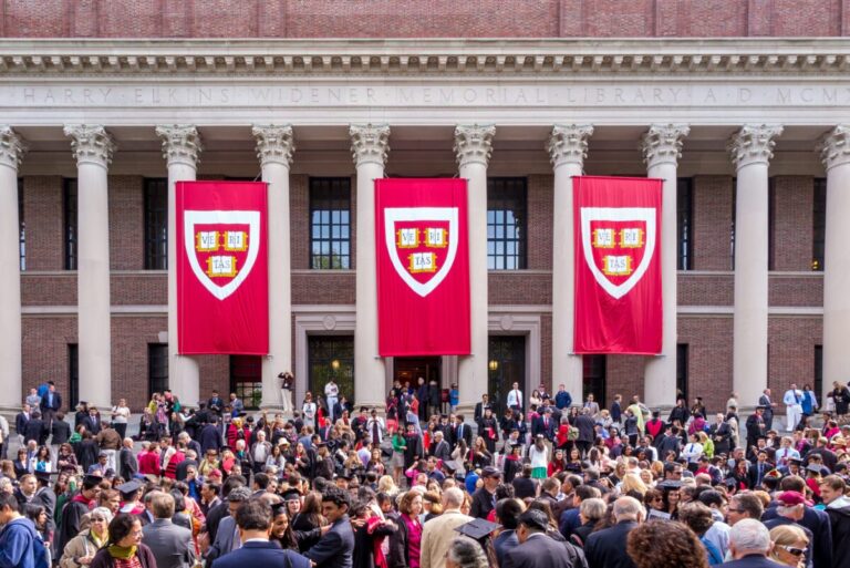 Estudiantes de Harvard trabajando en investigación, reflejando resiliencia y educación ante recortes