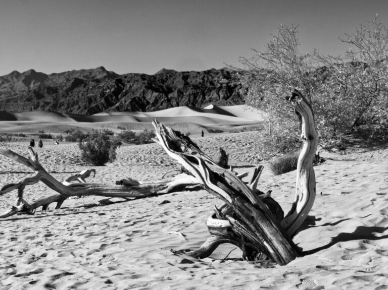 Niños de escuela rural en India afectados por la sequía y la falta de agua