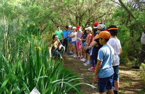 Educación forestal impulsa la formación técnica de jóvenes para el manejo sostenible y la conservación de los bosques en México.