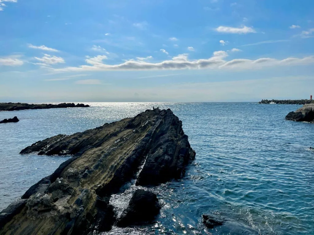 Profesor japonés explica el cambio del océano japonés con datos científicos