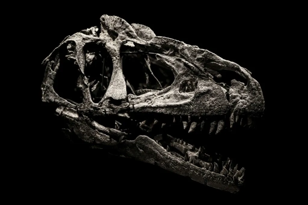 Ilustración de huevos fosilizados usados para datar la era de los dinosaurios con precisión científica