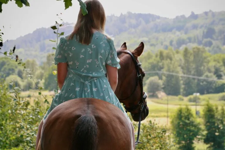 Caballo y científico usando inteligencia artificial y caballos para analizar movimiento y bienestar animal