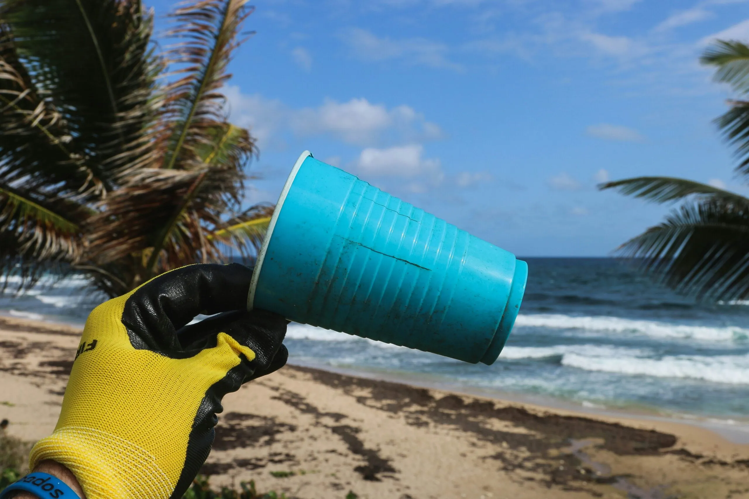 Estudiantes y voluntarios participan en actividades de educación ambiental para conservar playas limpias en La Paz, México.
