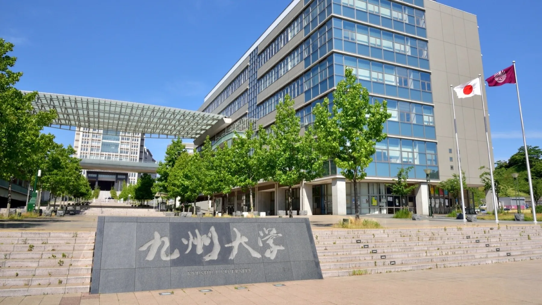 universidades en Japón con reducción de escuelas y ajustes en el sistema educativo por baja natalidad