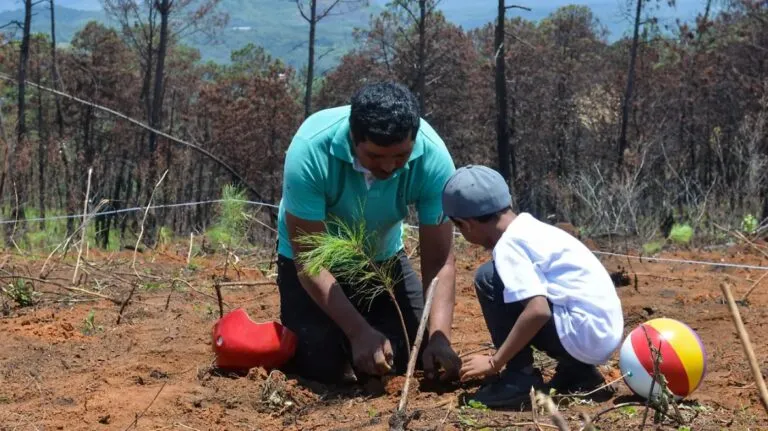 educación ambiental en México representando el cuidado del medio ambiente y la conciencia sobre recursos naturales