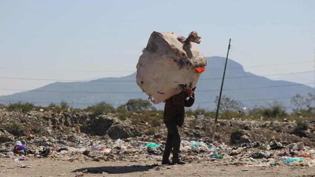 Recolectores y materiales reciclables dentro del nuevo modelo de economía circular en México