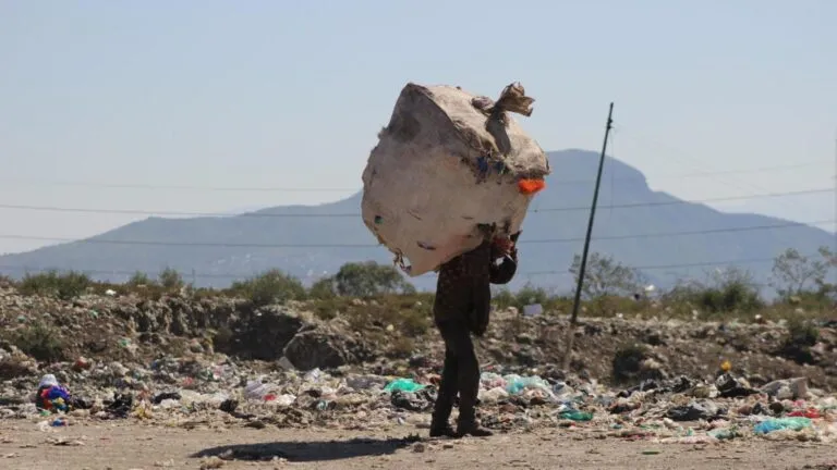 Recolectores y materiales reciclables dentro del nuevo modelo de economía circular en México