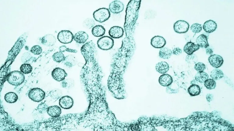Especialistas monitorean casos de hantavirus tras brote detectado en pasajeros de un crucero internacional
