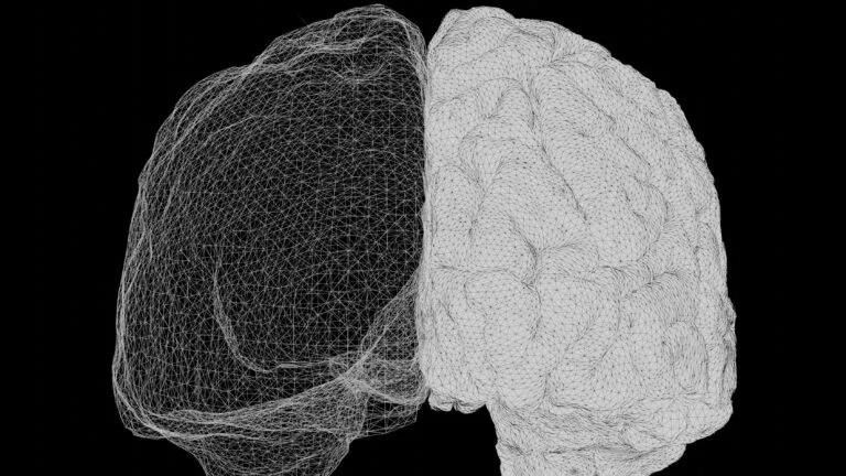 Estudio del MIT sobre cómo el lenguaje fortalece conexiones cerebrales durante el desarrollo infantil y adolescente