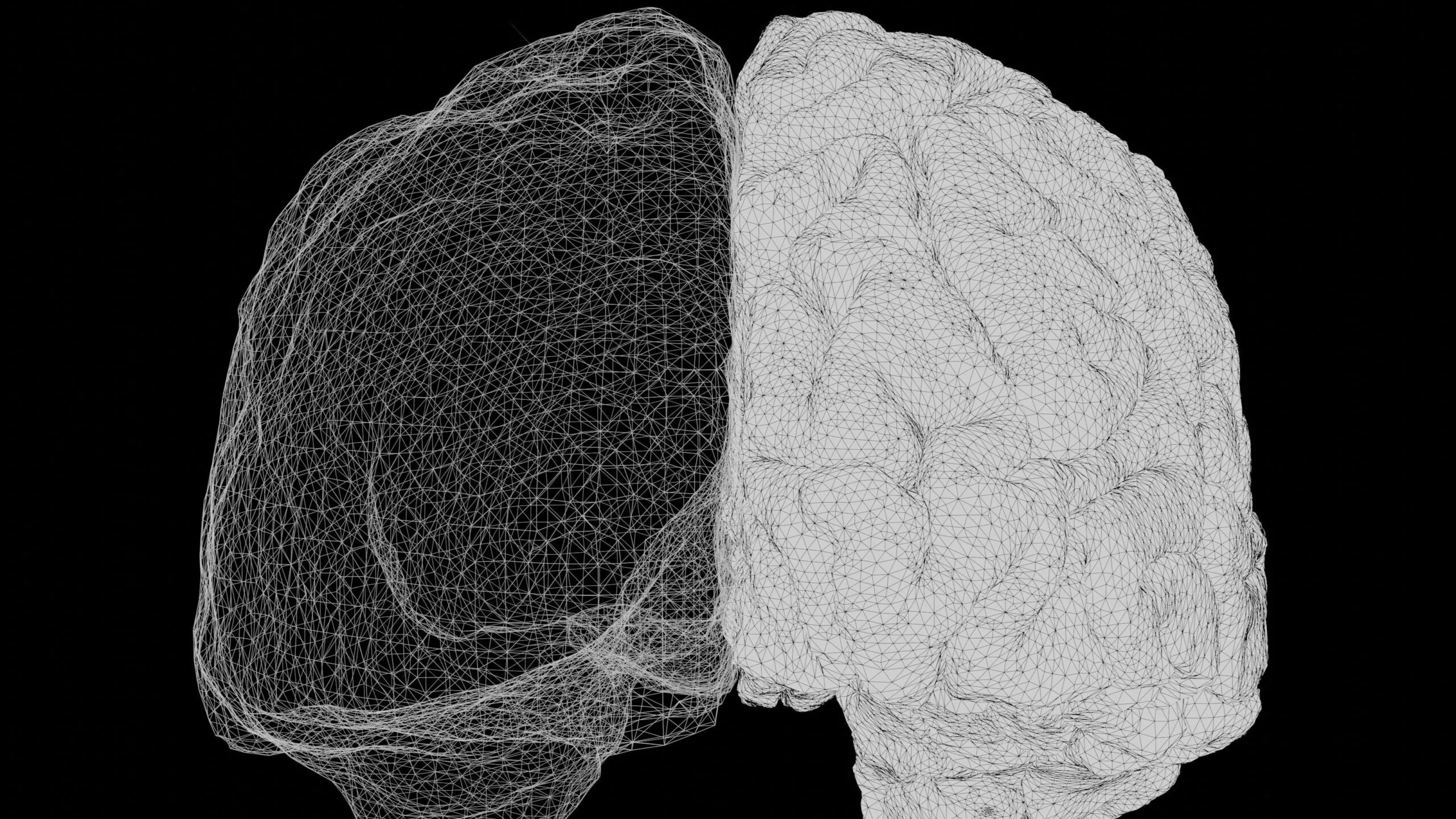 Estudio del MIT sobre cómo el lenguaje fortalece conexiones cerebrales durante el desarrollo infantil y adolescente