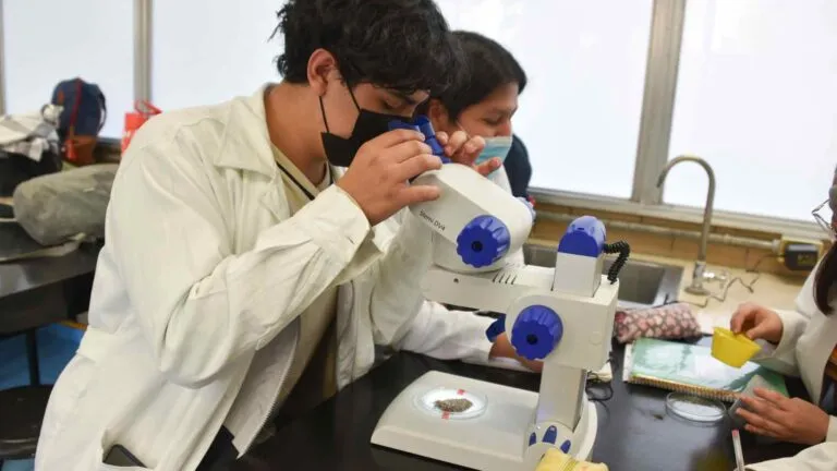 vocaciones en estudiantes de bachillerato participando en investigación académica en entorno educativo