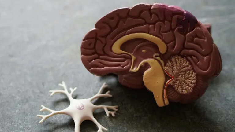 Especialistas analizan tratamientos recientes relacionados con Alzheimer y salud cerebral en adultos mayores