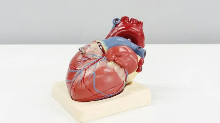 enfermedades cardiovasculares prevención temprana con nuevas guías médicas en Estados Unidos y evaluación de riesgo cardiovascular