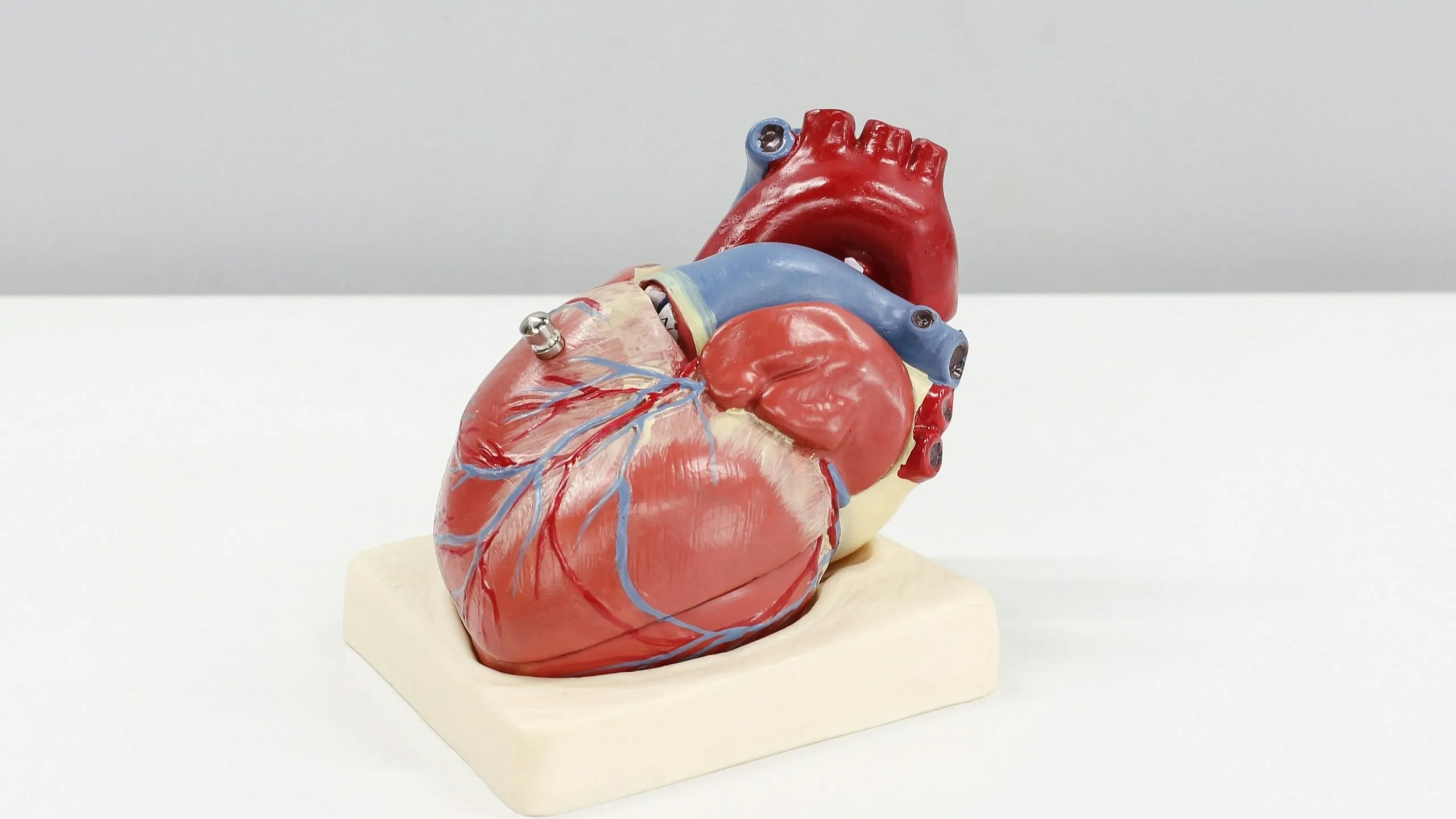 enfermedades cardiovasculares prevención temprana con nuevas guías médicas en Estados Unidos y evaluación de riesgo cardiovascular