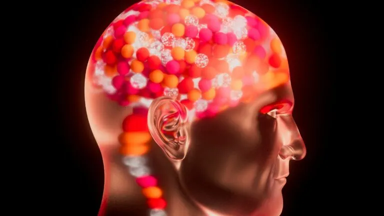 Estudios de Harvard analizan cómo la conciencia fluctúa en pacientes con lesiones cerebrales y mejora el diagnóstico clínico