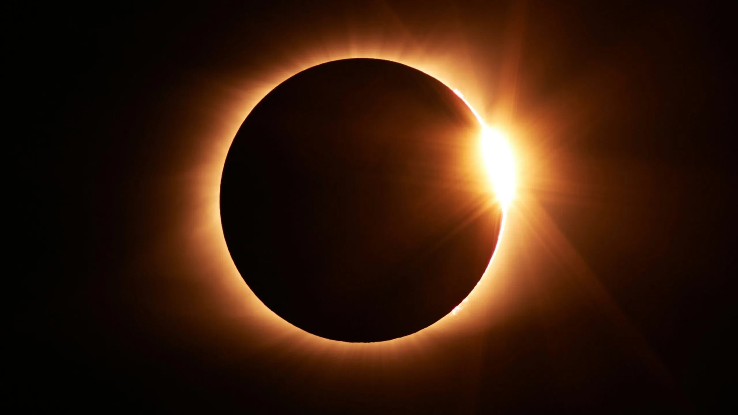 Observadores contemplan un eclipse solar mientras registran datos biométricos con relojes inteligentes.