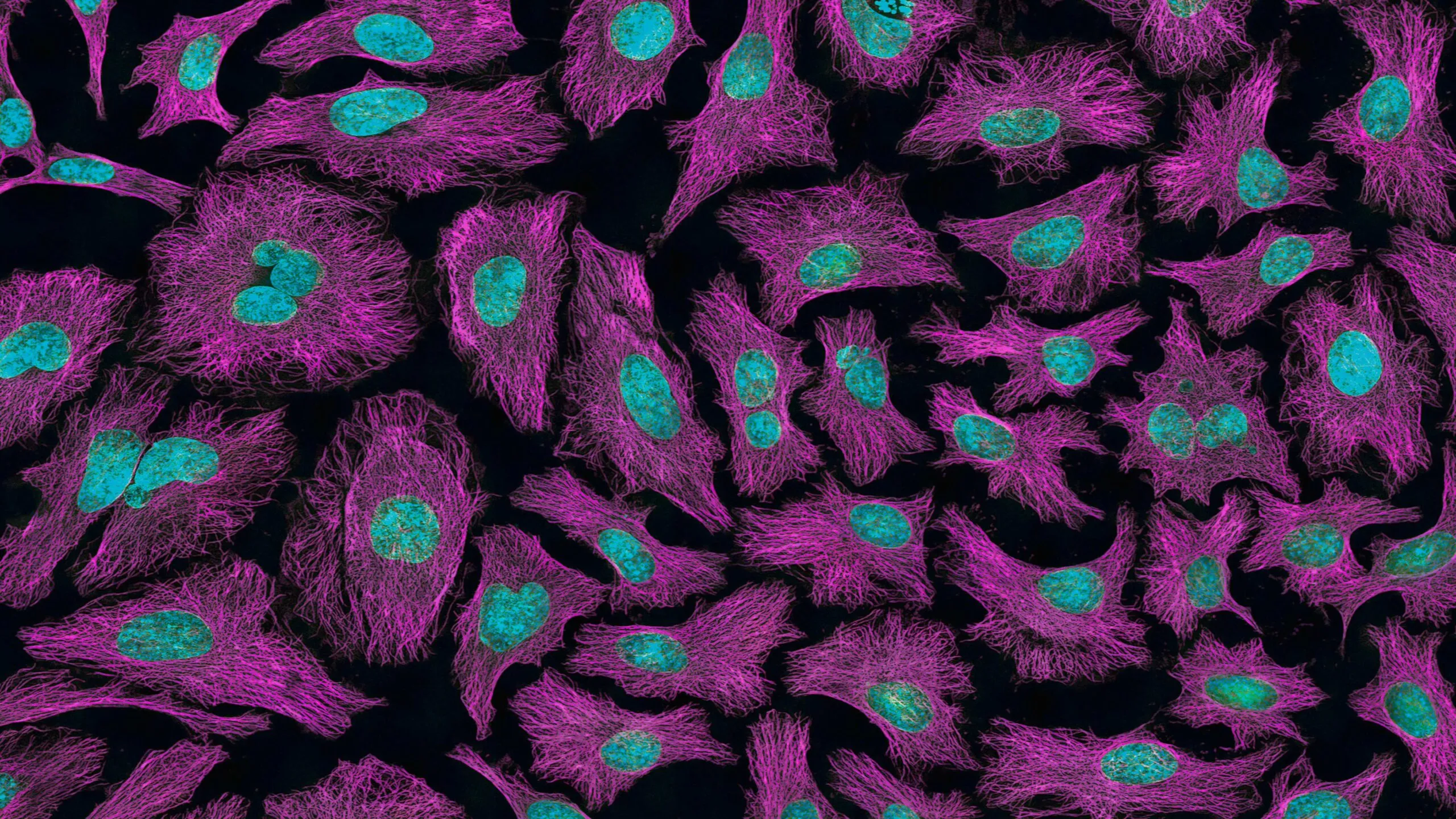 Ilustración de células sintéticas observadas en un entorno de investigación biotecnológica.