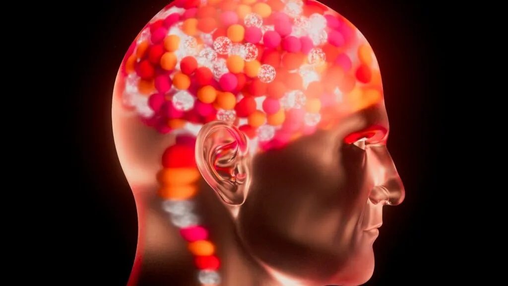 Estudio sobre el funcionamiento del cerebro y la sincronización de los recuerdos mediante actividad neuronal.