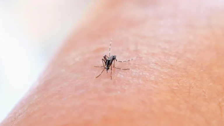 La malaria infantil aumenta en regiones frías de África mientras los programas sanitarios limitan el impacto del cambio climático.