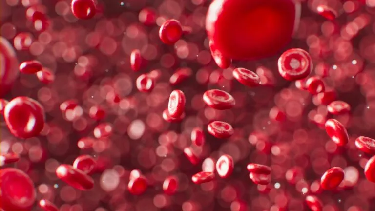 Investigación revela que millones de adultos presentan niveles de colesterol LDL superiores a las nuevas recomendaciones.