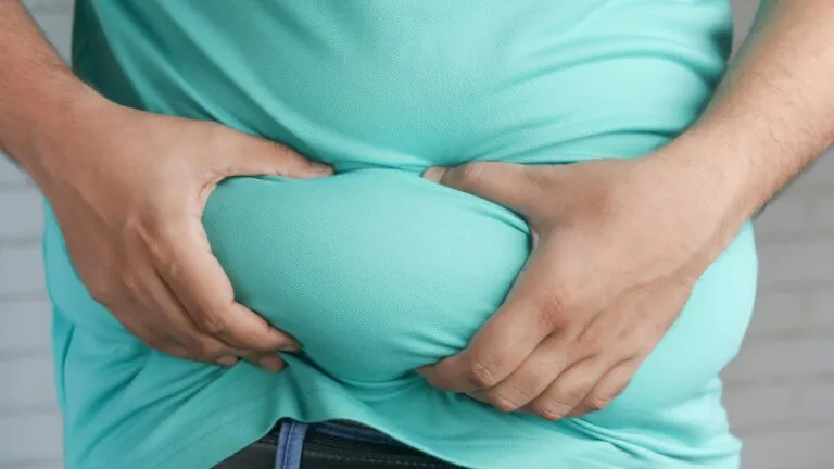 Estudios sobre la relación entre la obesidad, la predisposición genética y los factores ambientales.