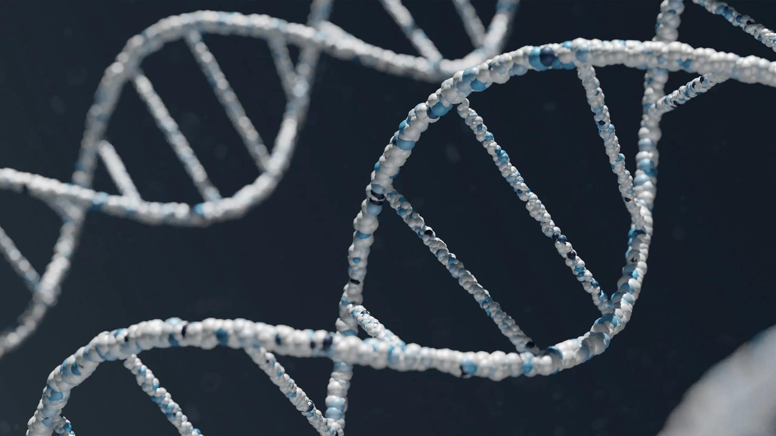 Investigación revela cómo se organiza y cambia el genoma humano dentro de las células.