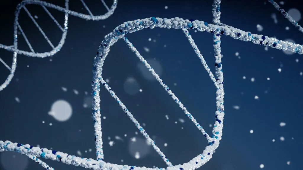ADN humano sintético abre nuevas posibilidades médicas y un debate sobre los límites éticos de la manipulación genética.