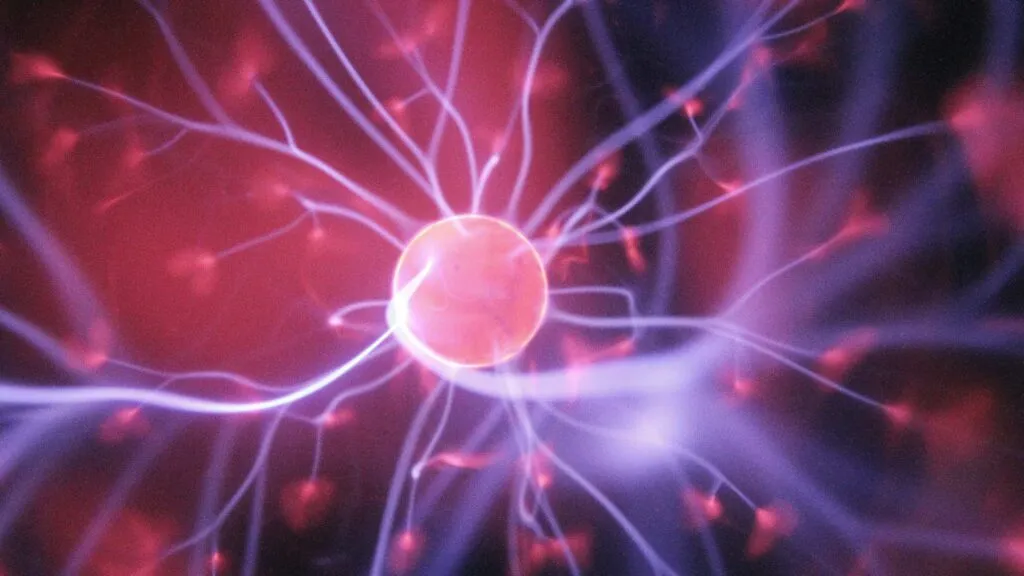La dopamina participa en la motivación, el aprendizaje y la búsqueda de recompensas inesperadas que mantienen activo al cerebro humano.
