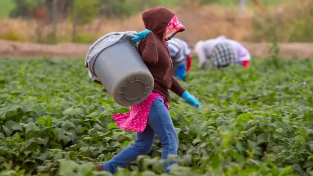 Mujeres migrantes enfrentan desigualdades durante la vejez