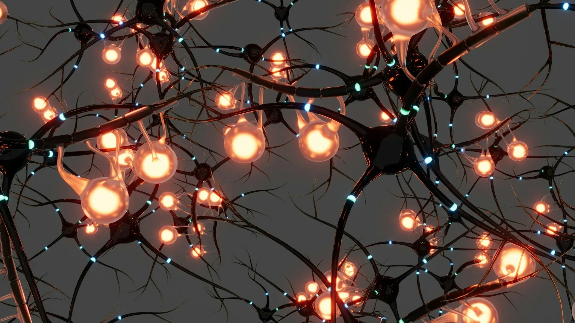 Cerebro y cambios de sus células desde el nacimiento hasta la vejez