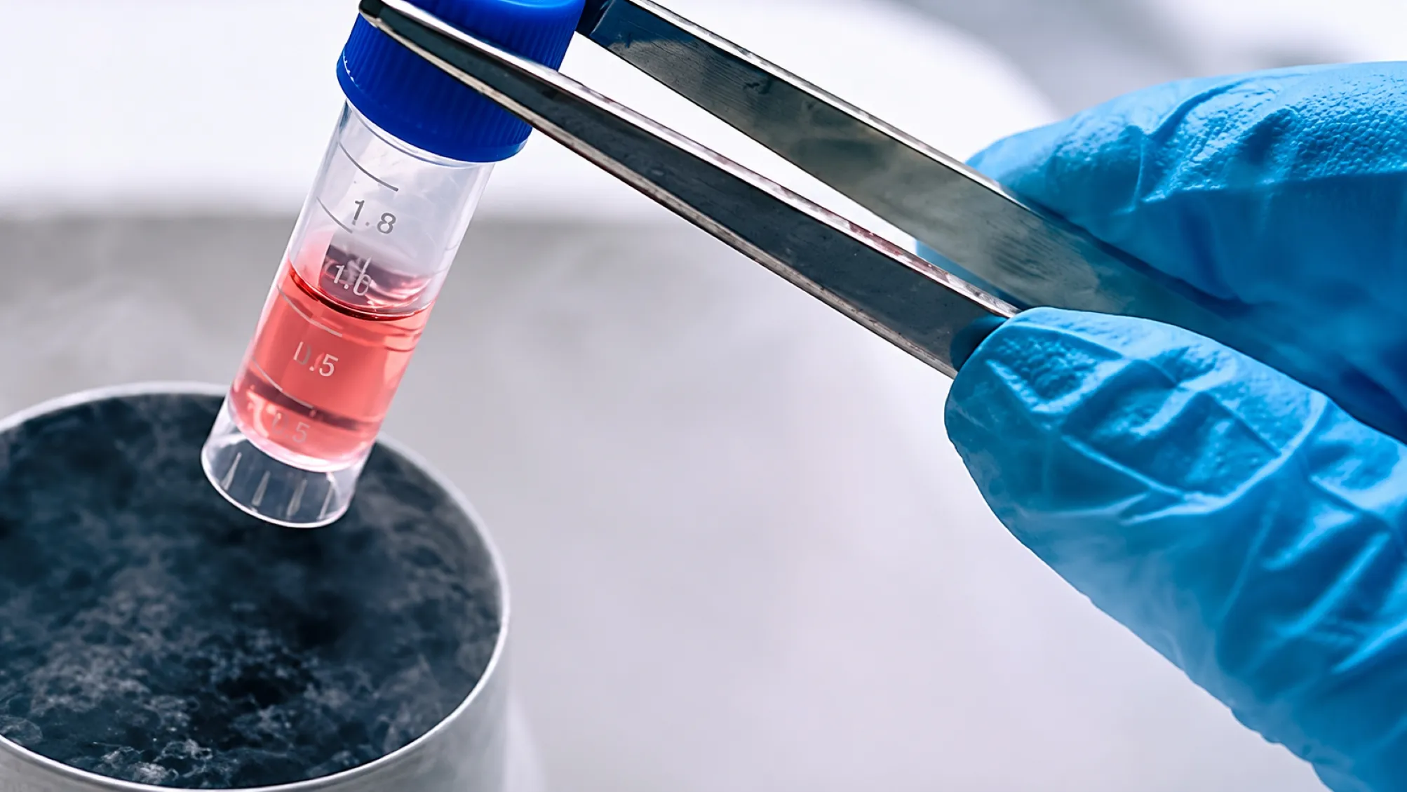 Óvulo y proceso de vitrificación para preservar la fertilidad