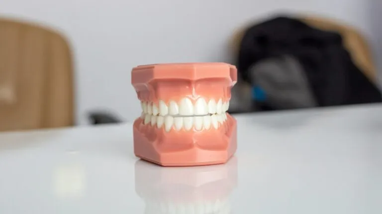 Investigación científica para regenerar dientes mediante células madre y desarrollar alternativas a los implantes dentales