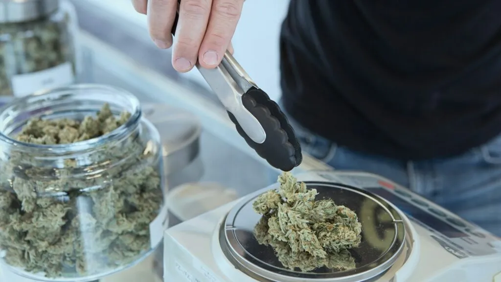 Distribución de medicamentos derivados del cannabis en hospitales españoles para tratar dolor crónico y otras enfermedades