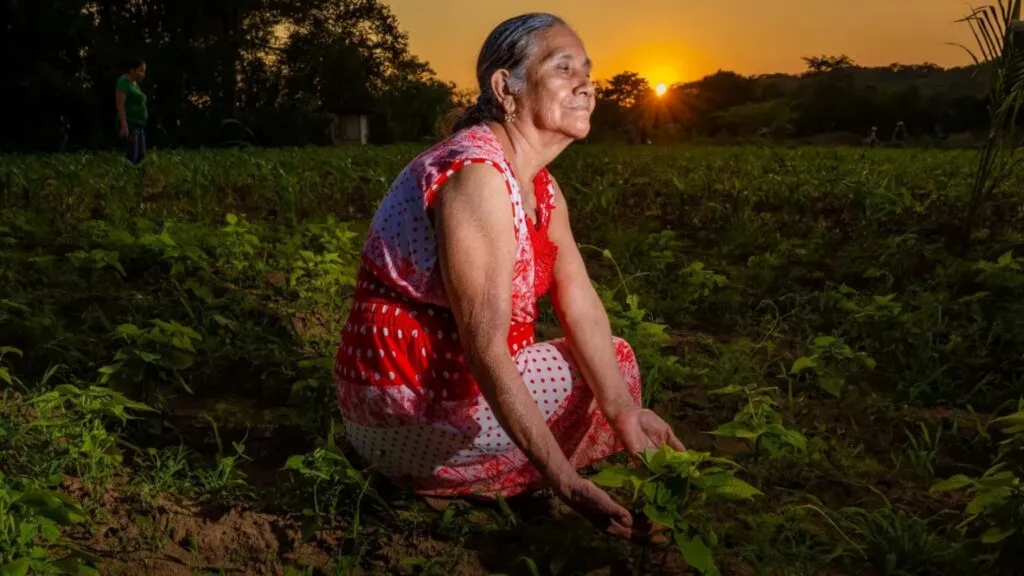 Contribución de las Mujeres Rurales a la producción de alimentos, la conservación ambiental y el desarrollo sostenible
